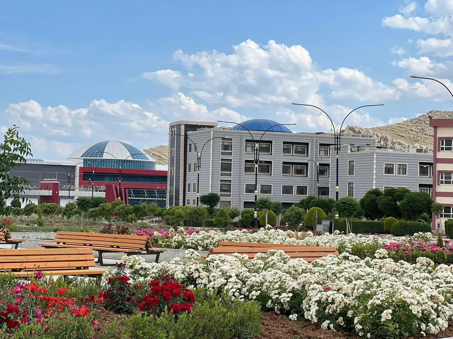 Activity Hall
